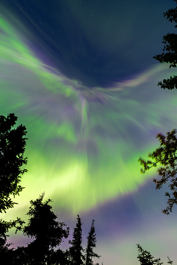 Aurora Borealis in Form von fallenden Vorhänge (Corona)