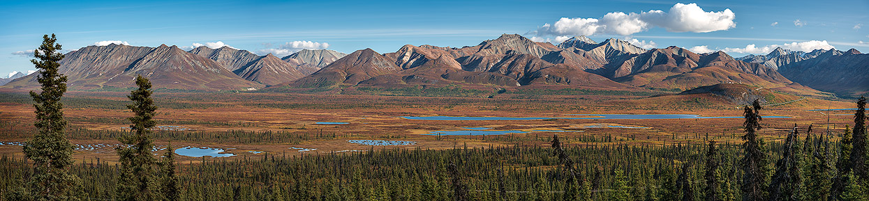 Panorama der Chugach Mountains entlang des Glenn Highways