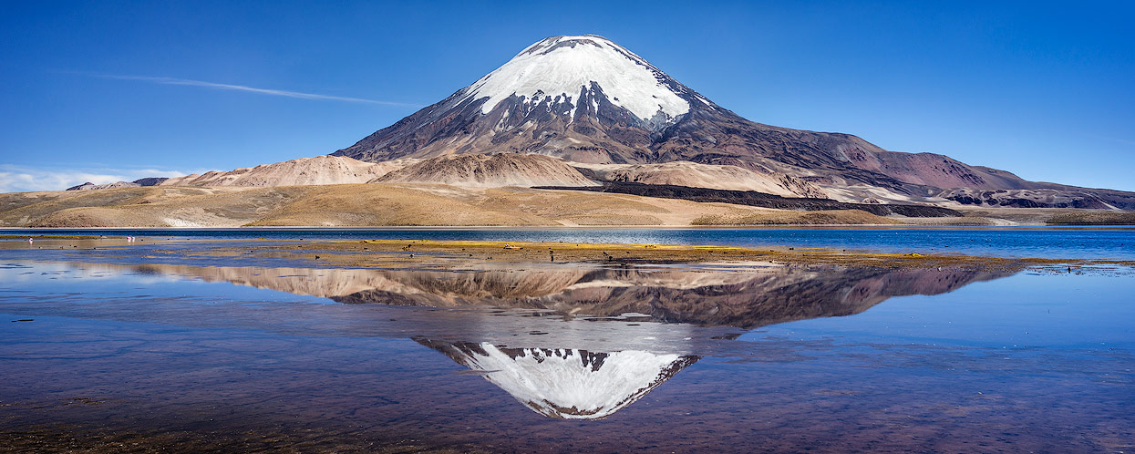 Lago Chungará is einer der höchstgelegenen Seen. Im Hintergrund der wunderschöne Vulkan Parinacota.