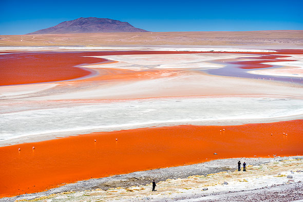 Die weltweit einzige rote Laguna: Laguna Colorada