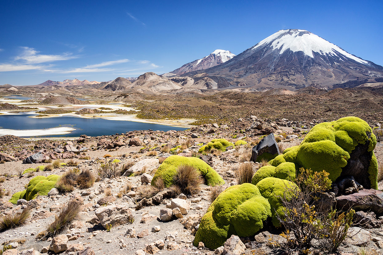 Paradies for landscape photographers: Volcano Parinacota, Lauca National Park in northern Chile