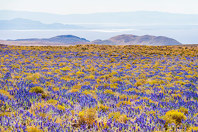 Colorful view above San Pedro de Atacama