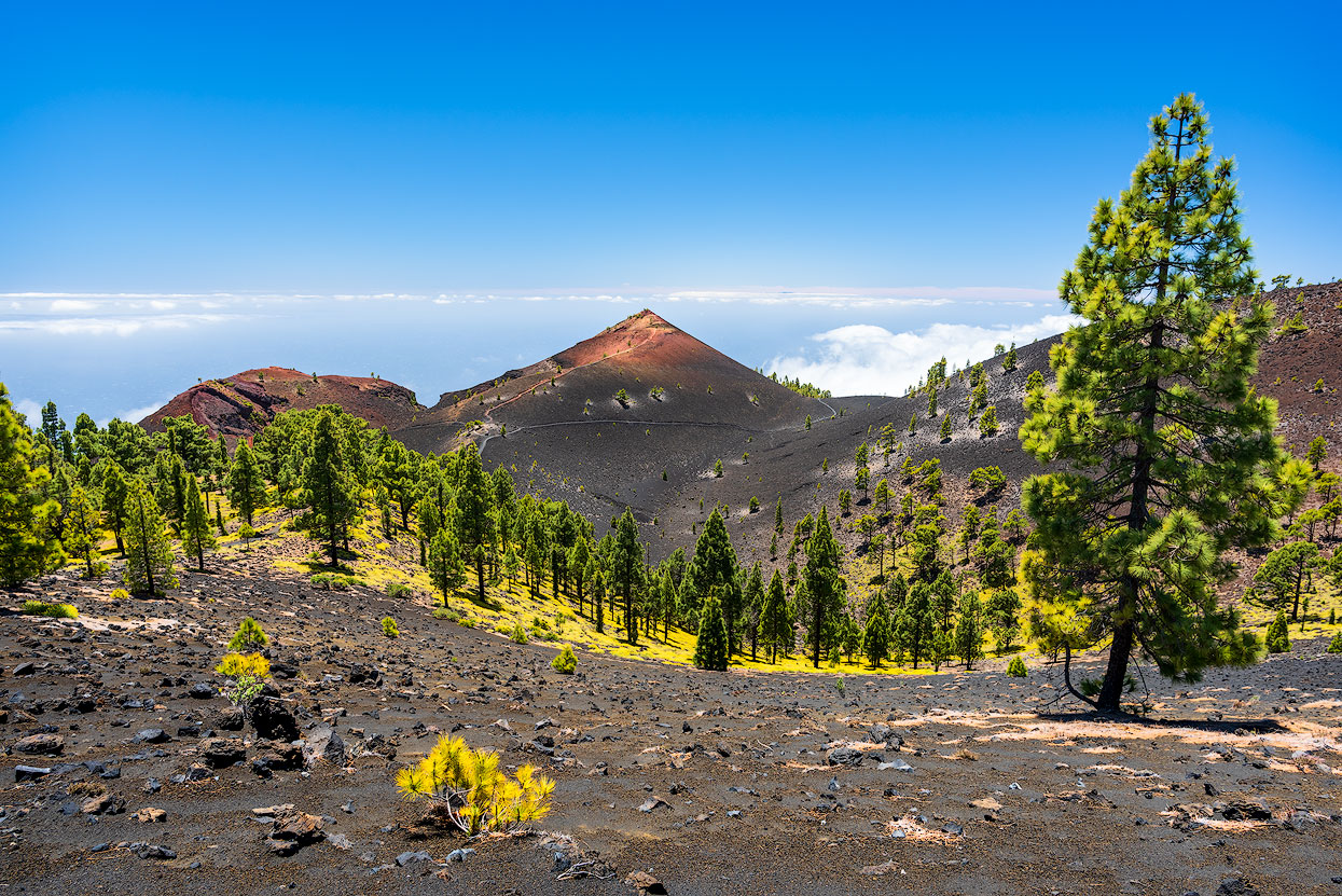 Hike along fantastic volcanic landscapes in the south of La Palma