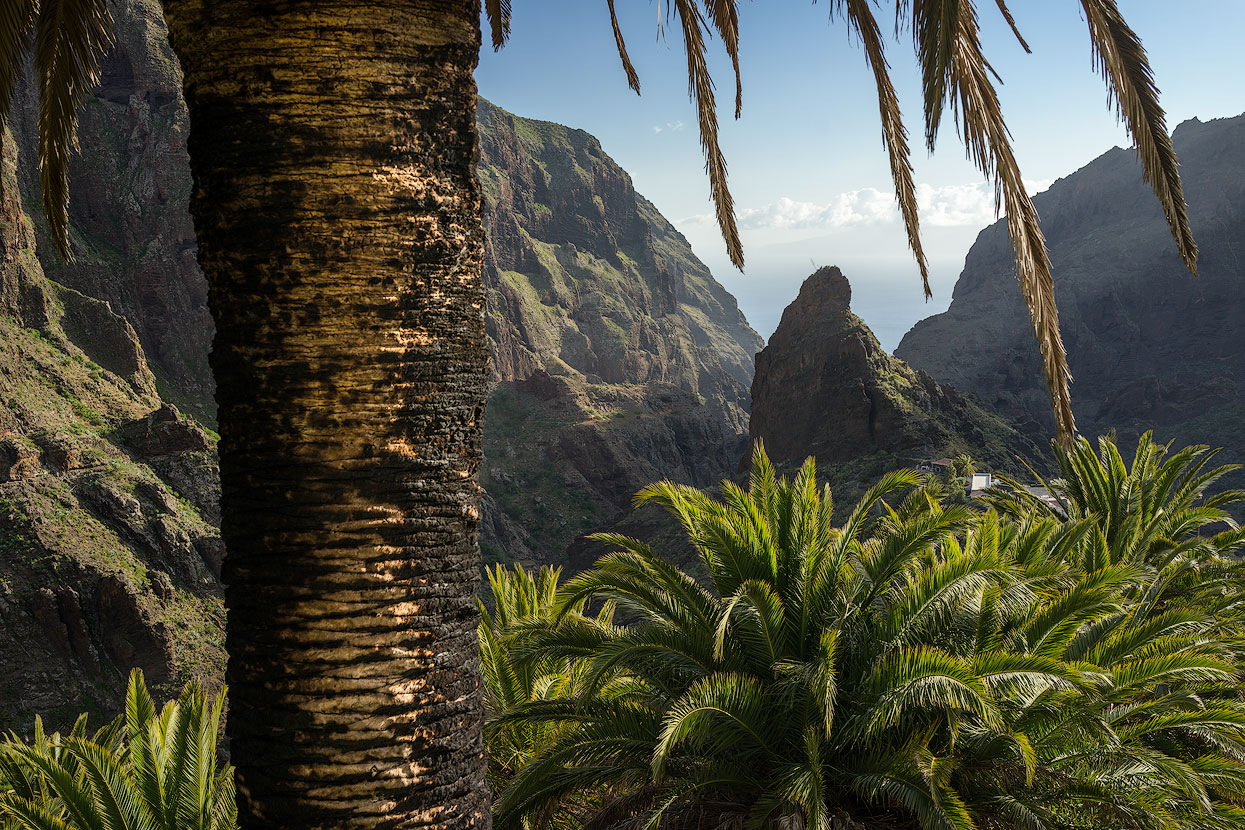 Masca in the northwest is one of the highlights of Tenerife