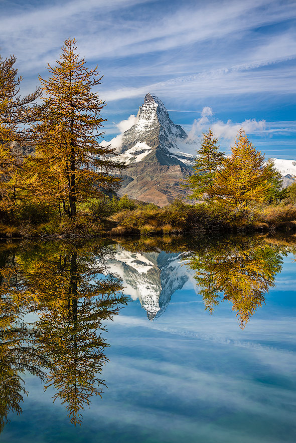 Golden yellow firs and a perfect reflection of Matterhorn