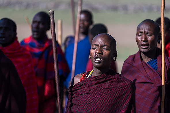 Get up! The tradition of the Maasai jumping dance