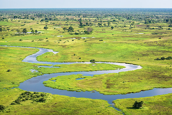Landscape shot of Okavango Delta