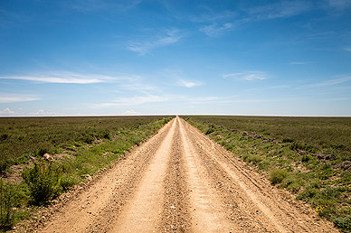 Road to Serengeti